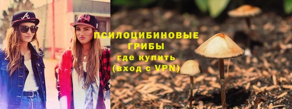 дурь Алексеевка