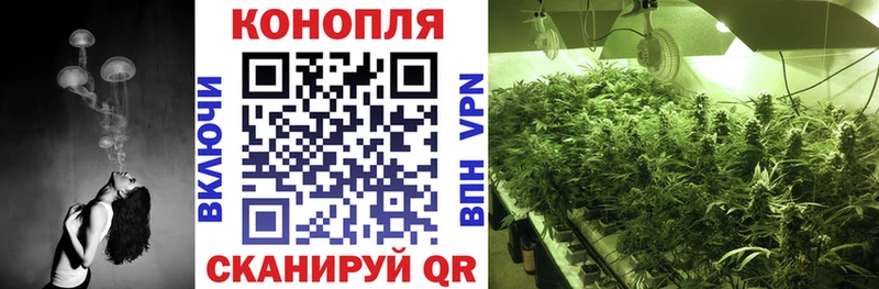 Каннабис планчик  darknet как зайти  Нижние Серги 